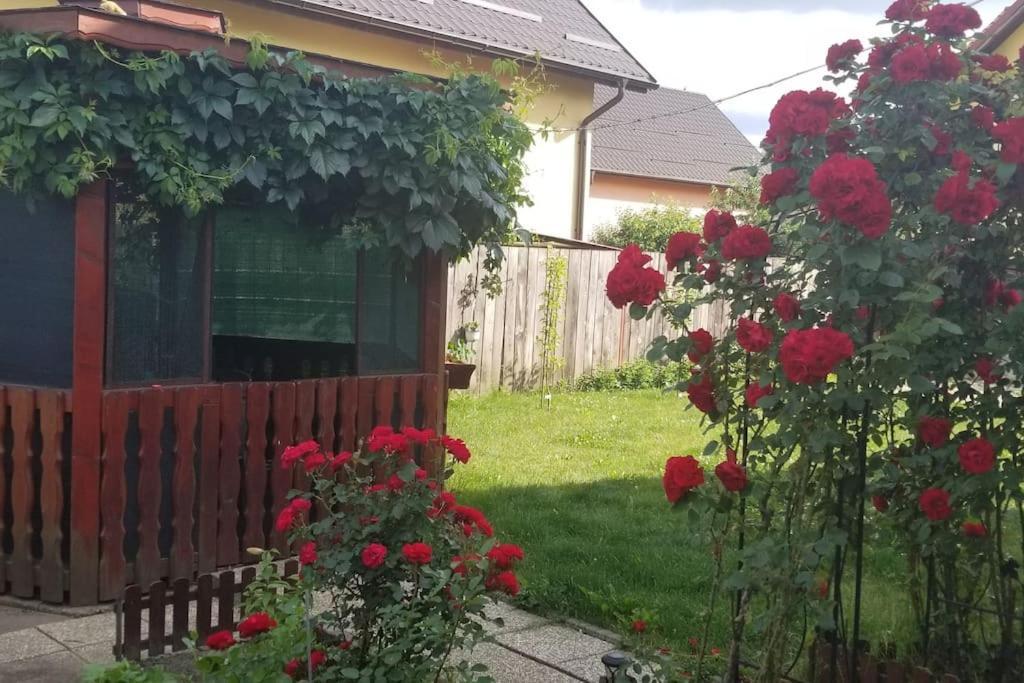 Casa Merilor I & II Braşov Extérieur photo